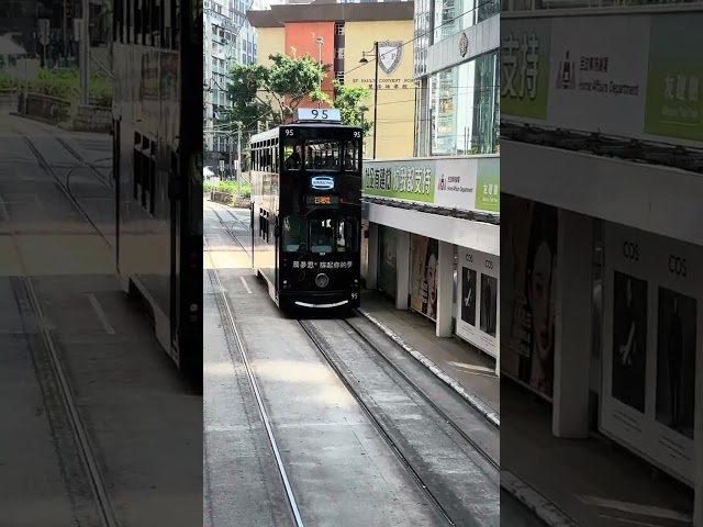 Hong Kong Tramway Car No.95號  香港電車