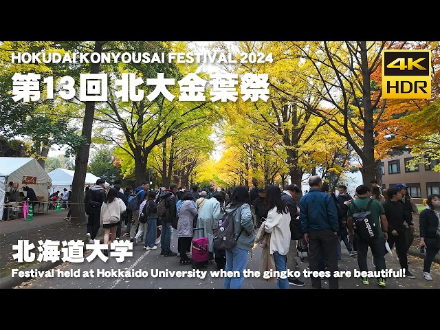 🇯🇵13th Hokudai Konyousai Festival 2024 Walking Tour / Sapporo Hokkaido Japan [4K HDR Binaural ASMR]