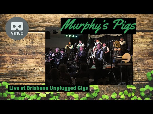 Murphy's Pigs Live at the BuG in Virtual Reality