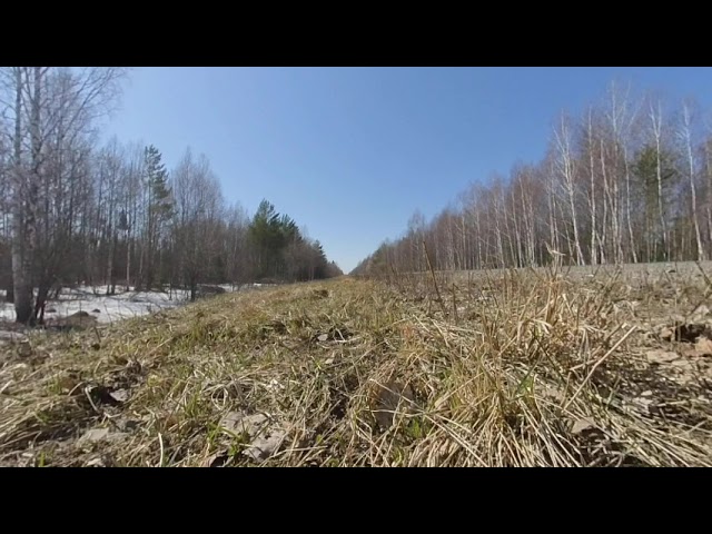 [VR180] Siberian Road