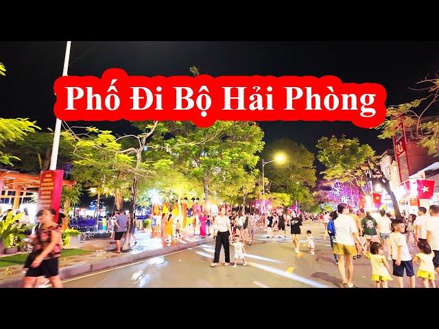 Phố Đi Bộ Mới Của Hải Phòng || Phố Đi Bộ Quang Trung