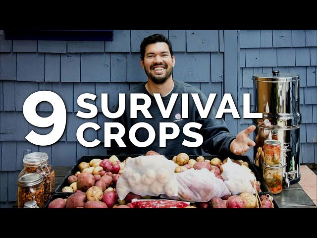 9 Survival Gardening Crops to Grow in a Post Apocalyptic World