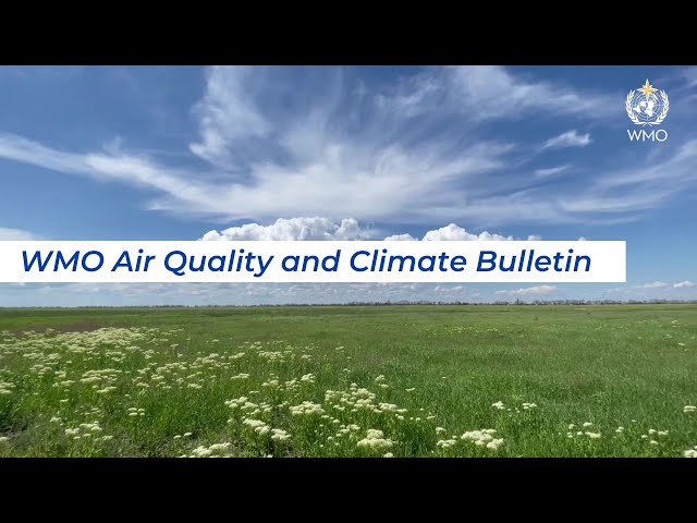 WMO Air Quality and Climate Bulletin 2024 - English