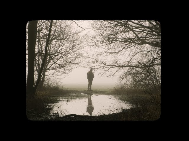 Woodland cinematic static shots | Fuji X-T3 | Provia