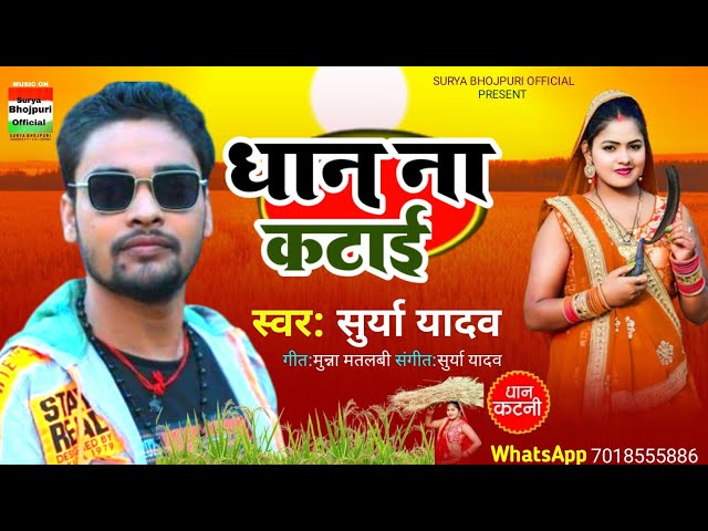 धान ना कटाई ● #Katani Song ● #Bhojpuri New Song ● Surya Yadav ● #Dhan Na Katai ● #Viral Song 2024