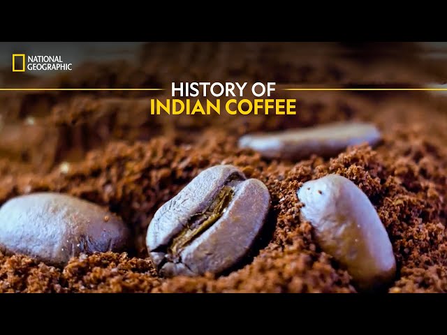 History of Indian Coffee | It Happens Only in India | National Geographic