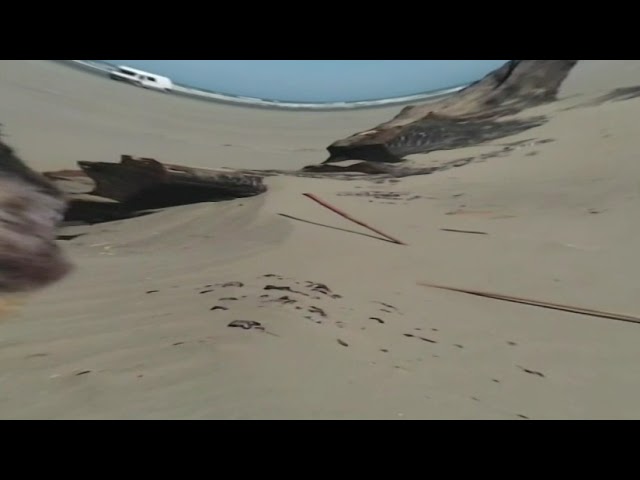 Ocean Shores June 23 GoPro injected360 converted