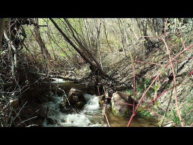 REDB - Red Butte Creek, NEON Aquatic Field Site | Utah