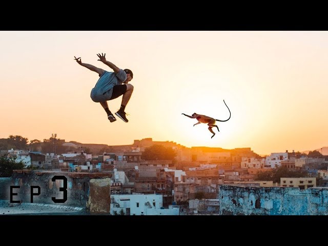 Parkour vs Monkeys 🇮🇳