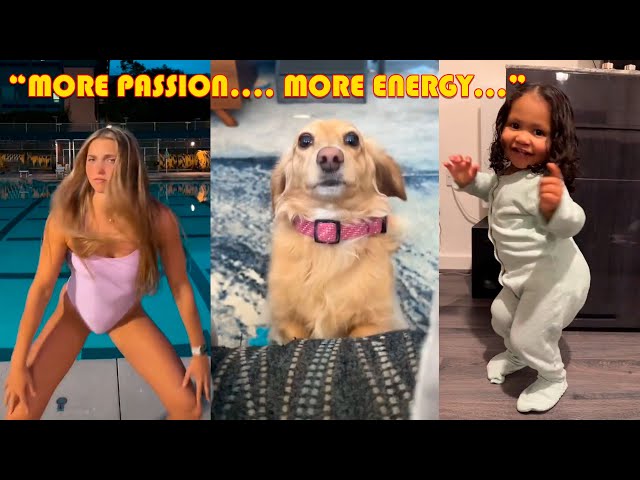 🥵More Passion More Energy TikTok Meme | Funny Tik Tok Videos Compilation 2024