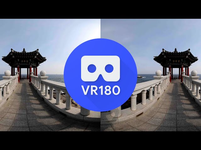 Korean Fish Market in 8K VR