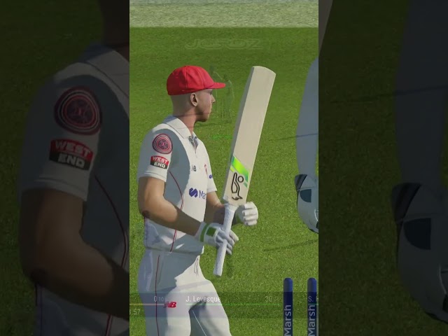 Some of The Best Wickets🔥 - Cricket 24  #gaming #cricket24 #shorts #wickets #bestwickets