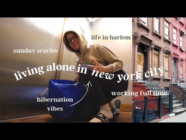 The MOST REALISTIC new york city vlog you'll ever watch. Or your money back.