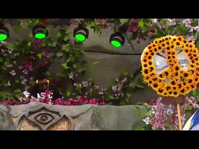 TomorrowWorld 2014 | Carnage