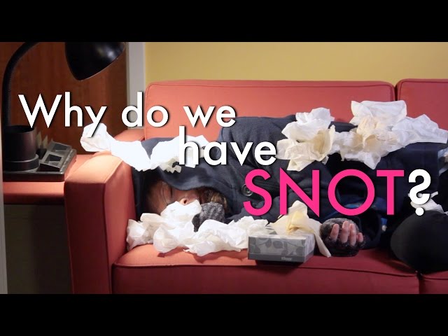 Why Do We Have Snot? (MIT Explains)