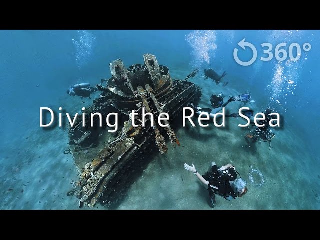 Diving the Red Sea - Underwater 360 Video