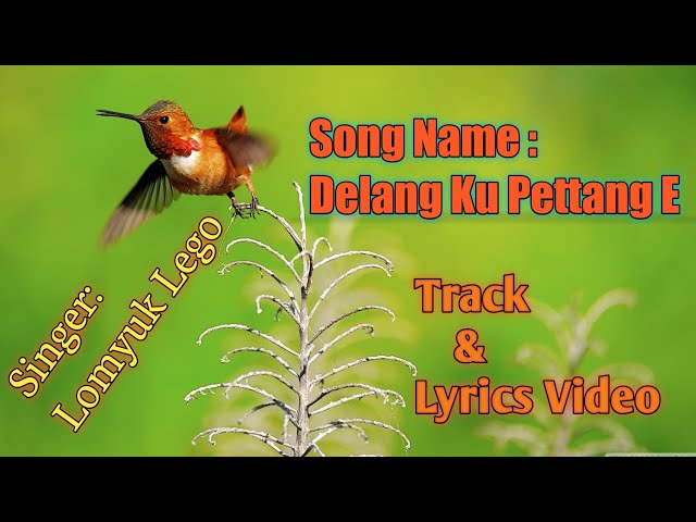 Delang Ku Pettang E | Adi Song | Arunachal Pradesh