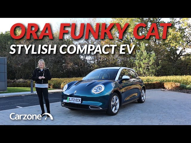 The NEW STYLISH Compact ELECTRIC CAR? | 2023 Ora Funky Cat First Look