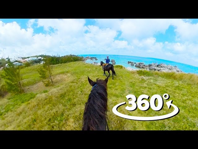 Horseback Riding on the Beach in Bermuda - 4K 360 VR Video