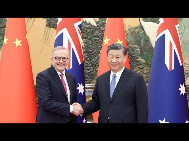 Anthony Albanese is ‘sucking up’ to Xi Jinping