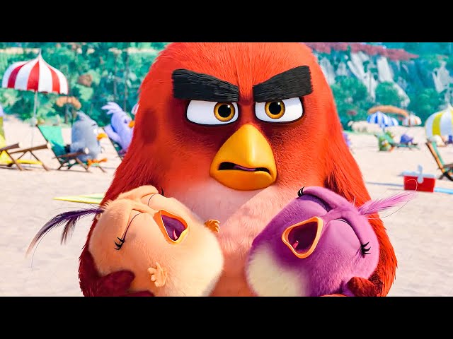 THE ANGRY BIRDS MOVIE 2 - First 8 Minutes From The Movie (2019)