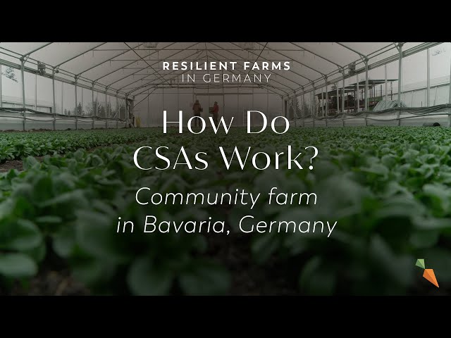 How Community Supported Agriculture Works In Practice | Resilient Farms in Germany