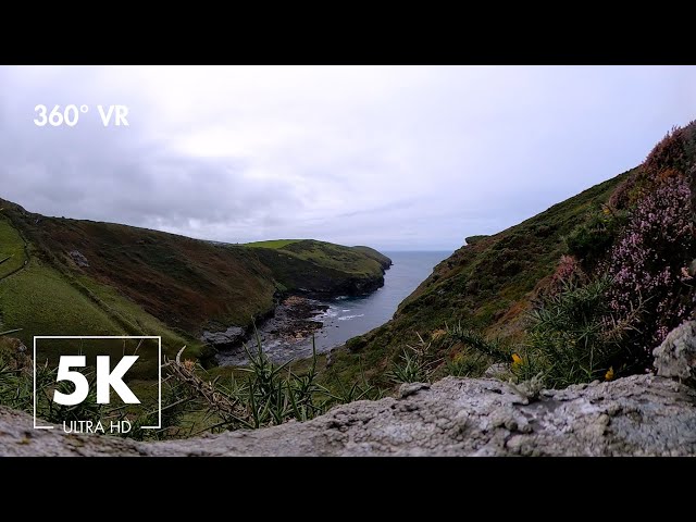 Virtual Nature 360° VR - Immersive English countryside overlooking the sea - 5K Ultra HD