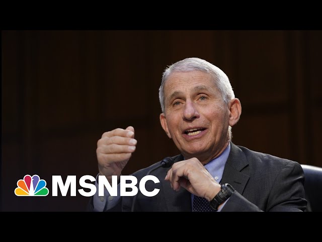 Slander: Dr. Fauci Rebukes Rand Paul’s Falsehoods | The Beat | MSNBC