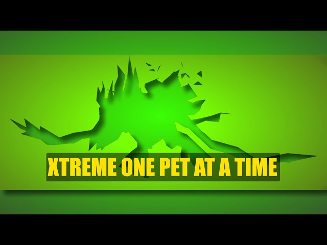 Xtreme One Pet At A Time - #4