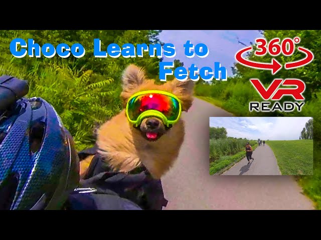 VR 360° Choco Learns to Fetch | Overpeck Bergen County Park | Virtual Ride Along Biking Cycling