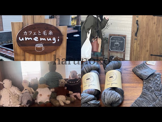 【北海道旅行✈️】カフェと毛糸のお店umemugiさんに行ってきました☕️🧶/購入品紹介