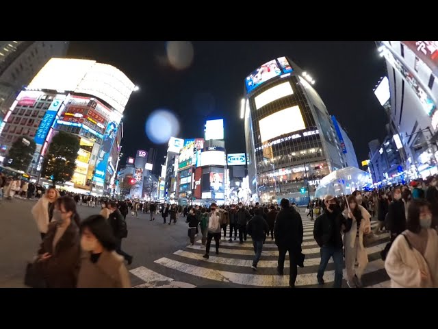 Tokyo Shibuya😸【４K 360°】💖渋谷駅からお散歩やりなおしました。