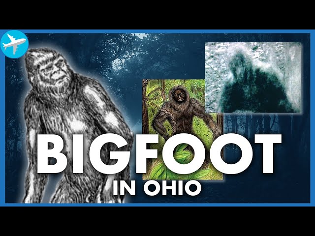 Bigfoot in the Buckeye State (ft. Jeffrey Meldrum, Ph.D.) | Flyover Culture