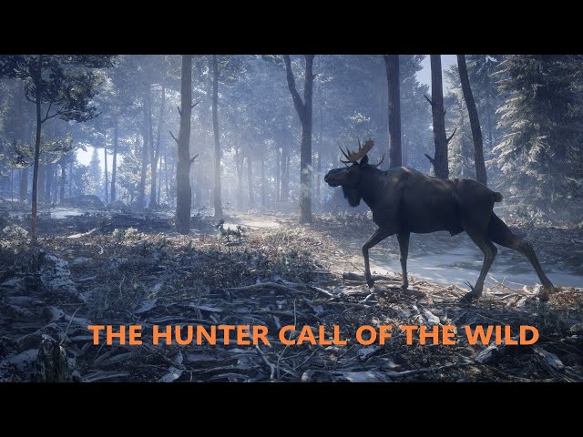 the Hunter: Call of the Wild - 2019 Edition