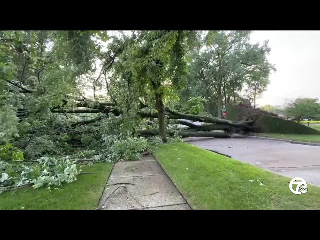 Storms cause massive tree to uproot in Madison Heights, land on home