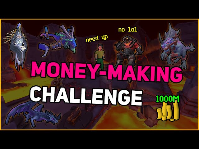 Can I make 1000m in one day? Runescape money making challenge!