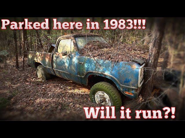 ABANDONED Dodge Power Wagon! Will it RUN after 41 Years?!